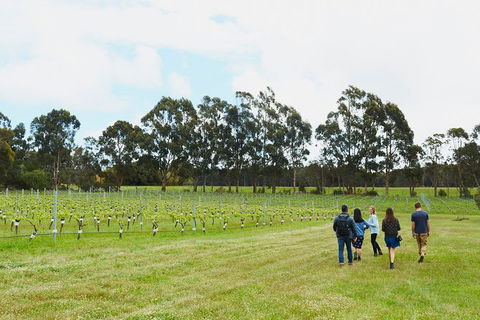 Organic Vineyard/Farm Tour - Accommodation Coffs Harbour 7