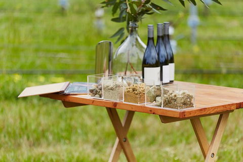 Organic Vineyard/Farm Tour - Accommodation Coffs Harbour 3