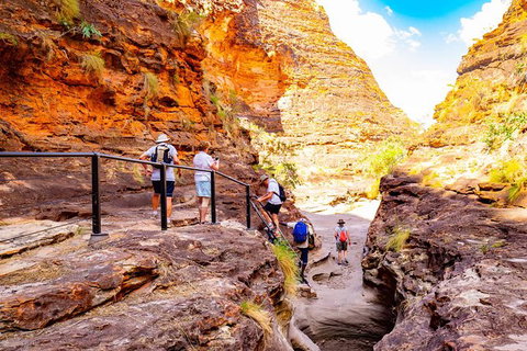 2 Nights At Bungles Wilderness Lodge - Explore The Northern & Southern Gorge - Accommodation Coffs Harbour 6