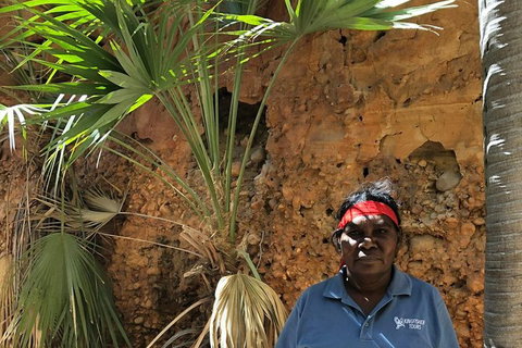 2 Nights At Bungles Wilderness Lodge - Explore The Northern & Southern Gorge - Accommodation Coffs Harbour 1