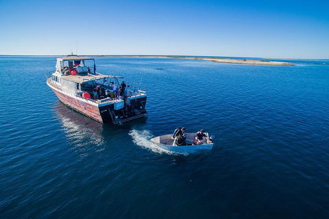 Abrolhos Islands 4 Day Fishing Charter - Accommodation Coffs Harbour 0