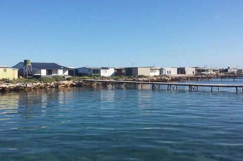 Abrolhos Islands 4 Day Fishing Charter - Accommodation Coffs Harbour 9