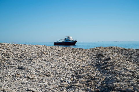Abrolhos Islands 4 Day Fishing Charter - Accommodation Coffs Harbour 1