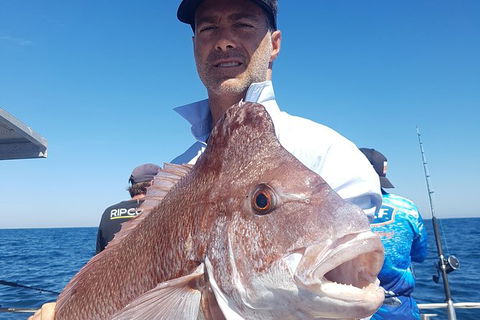 Abrolhos Islands 4 Day Fishing Charter - Accommodation Coffs Harbour 8