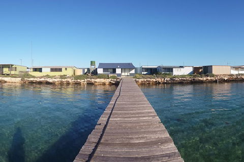 Abrolhos Islands 4 Day Fishing Charter - Accommodation Coffs Harbour 3