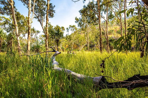Secret Locations Tour - Accommodation Coffs Harbour 4