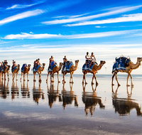 Broome Pre-sunset Camel Tour 30 minutes - Accommodation Coffs Harbour