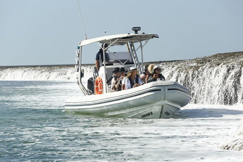 Cygnet Bay Explorer - Accommodation Coffs Harbour 8