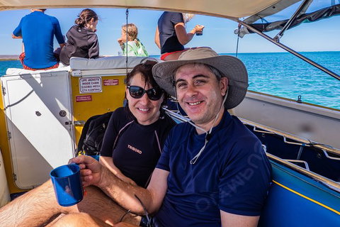 Ningaloo Immersion Private Charter - Accommodation Coffs Harbour 7