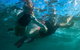 Ningaloo Immersion Private Charter - thumb 3