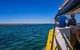Ningaloo Immersion Private Charter - thumb 0
