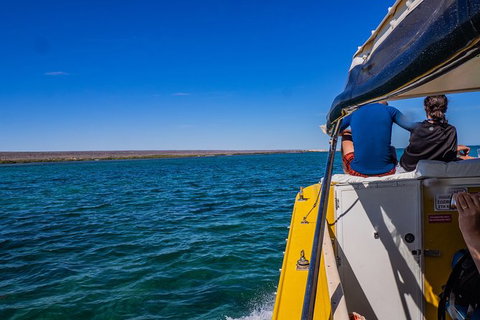Ningaloo Immersion Private Charter - Accommodation Coffs Harbour 0