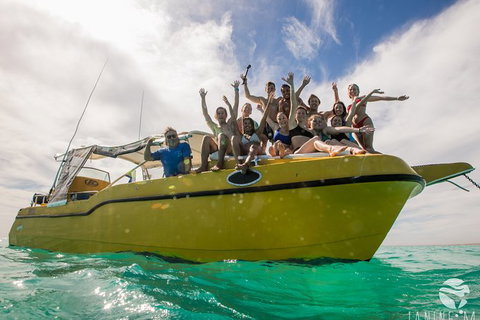 Ningaloo Immersion Private Charter - Accommodation Coffs Harbour 9
