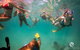 Ningaloo Immersion Private Charter - thumb 8