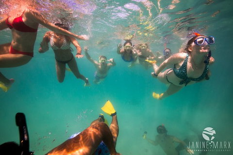 Ningaloo Immersion Private Charter - Accommodation Coffs Harbour 8