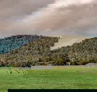 Baldwins Bluff Guided Hike - Accommodation Coffs Harbour