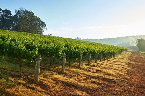 Botanical Gardens, Winery And Scenic Full Day Tour - Accommodation Coffs Harbour 2
