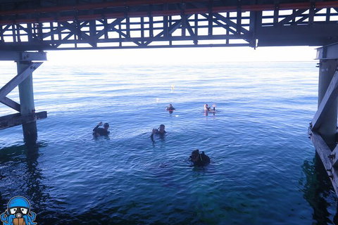PADI Open Water Course - Accommodation Coffs Harbour 3