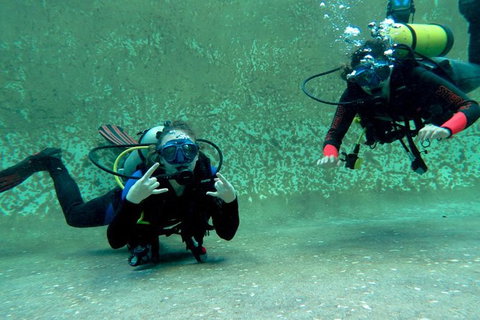 PADI Open Water Course - Accommodation Coffs Harbour 4