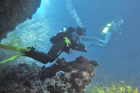 PADI Open Water Course - Accommodation Coffs Harbour 2