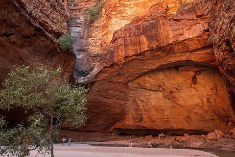 Bungles Day Trek Extended (with Echidna Chasm) - Accommodation Coffs Harbour 0