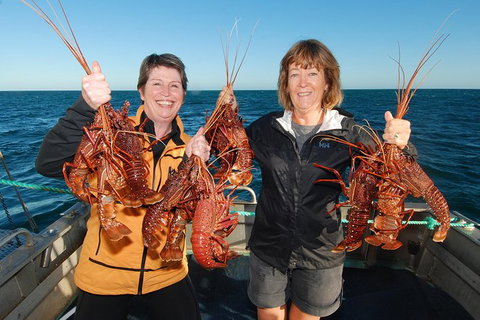 Abrolhos Islands 5 Day Tours - Accommodation Coffs Harbour 1