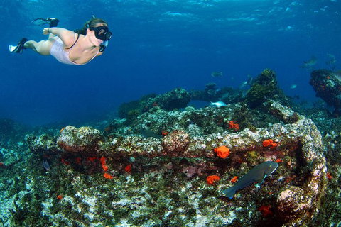 Abrolhos Islands 5 Day Tours - Accommodation Coffs Harbour 3