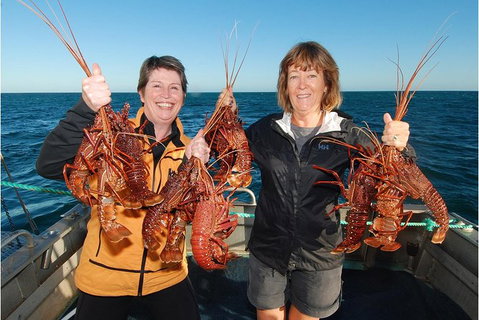 Abrolhos Islands 5 Day Tours - Accommodation Coffs Harbour 0