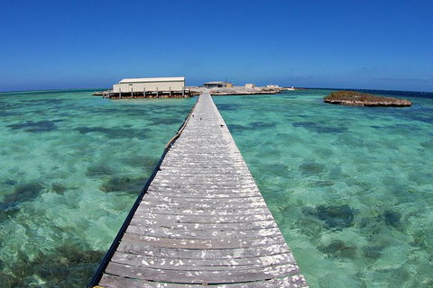 Abrolhos Islands 5 Day Tours - Accommodation Coffs Harbour 4
