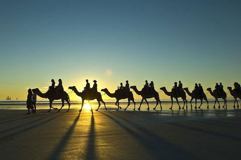 Broome All-Inclusive 7 Days Touring Package - Accommodation Coffs Harbour 6