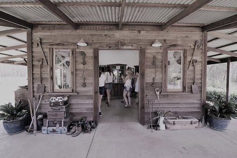 The Favourite 4 Experience - Accommodation Coffs Harbour 0