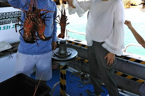Lobster Fishing Tour At Geraldton - Accommodation Coffs Harbour 1