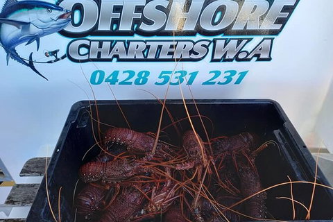 Lobster Fishing Tour At Geraldton - Accommodation Coffs Harbour 0