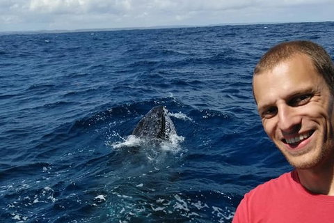 Whale Watching Boat Tour In Geraldton - Accommodation Coffs Harbour 2
