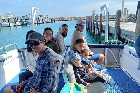 Whale Watching Boat Tour In Geraldton - Accommodation Coffs Harbour 1