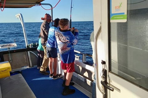 Geraldton Fishing Charter - Accommodation Coffs Harbour 9