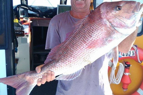 Geraldton Fishing Charter - Accommodation Coffs Harbour 10