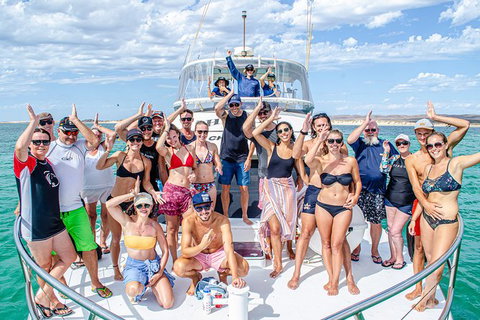 Full-Day Whale Sharks Swimming Experience On Ningaloo Reef - Accommodation Coffs Harbour 1