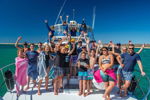 Full-Day Whale Sharks Swimming Experience On Ningaloo Reef - Accommodation Coffs Harbour 15