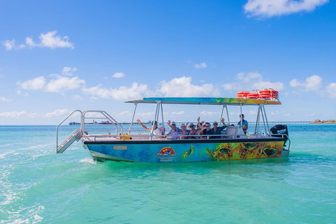 The Island Sandbar Experience - Accommodation Coffs Harbour 5