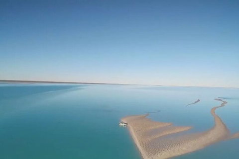 The Island Sandbar Experience - Accommodation Coffs Harbour 7