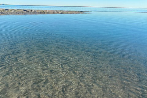 The Island Sandbar Experience - Accommodation Coffs Harbour 4