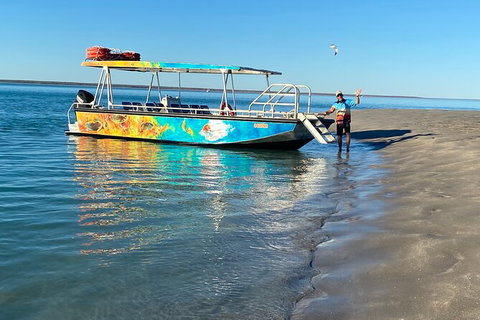 The Island Sandbar Experience - Accommodation Coffs Harbour 8