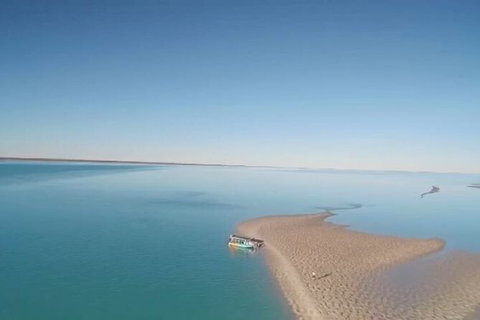 The Island Sandbar Experience - Accommodation Coffs Harbour 6