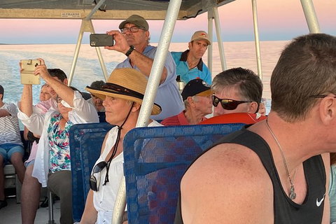 The Island Sandbar Experience - Accommodation Coffs Harbour 3