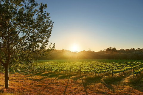 Private Barrel Hall Wine Tasting In The Margaret River Region - Accommodation Coffs Harbour 3