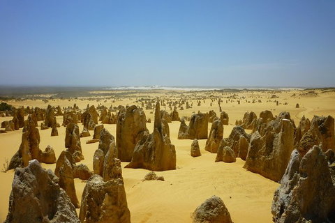 Pinnacles Desert Private Tour - Accommodation Coffs Harbour 5