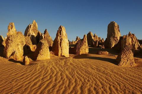 Pinnacles Desert Private Tour - Accommodation Coffs Harbour 0