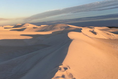 Pinnacles Desert Private Tour - Accommodation Coffs Harbour 2