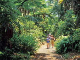 Sir Thomas Brisbane Planetarium - Accommodation Coffs Harbour 0